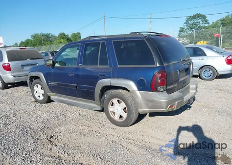 2002 Chevrolet Trailblazer из США, поврежденный, VIN 1GNDT13S222337909